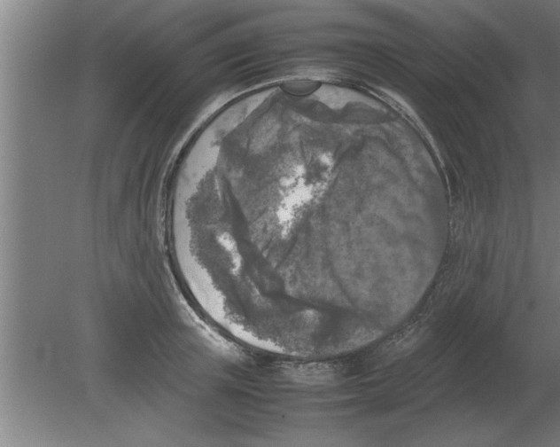 X0000080110851200612301942