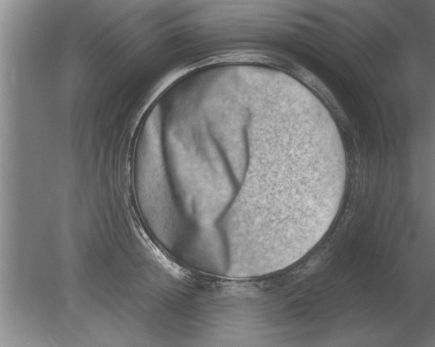 X0000080110852200612301942