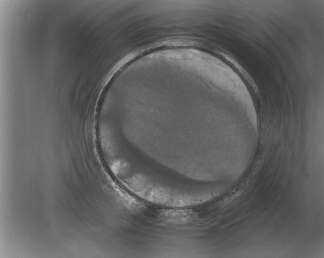 X0000080110853200612301942