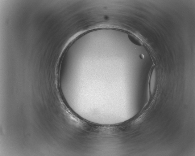 X0000080110854200612301942