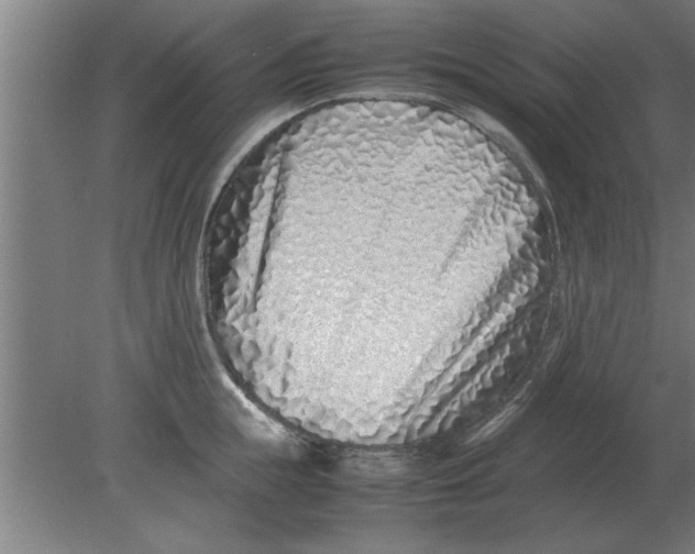 X0000080110855200612301942