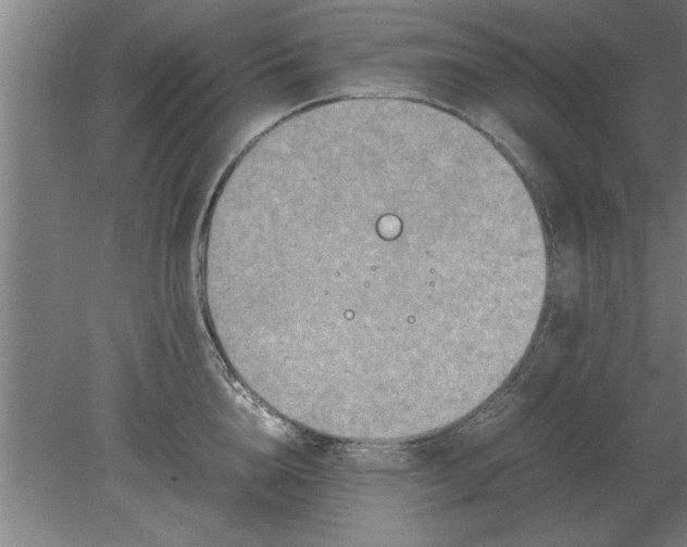 X0000080110856200612301942