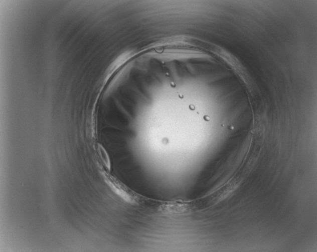 X0000080110858200612301942