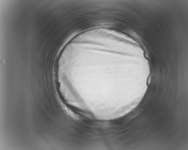 X0000080110859200612301942