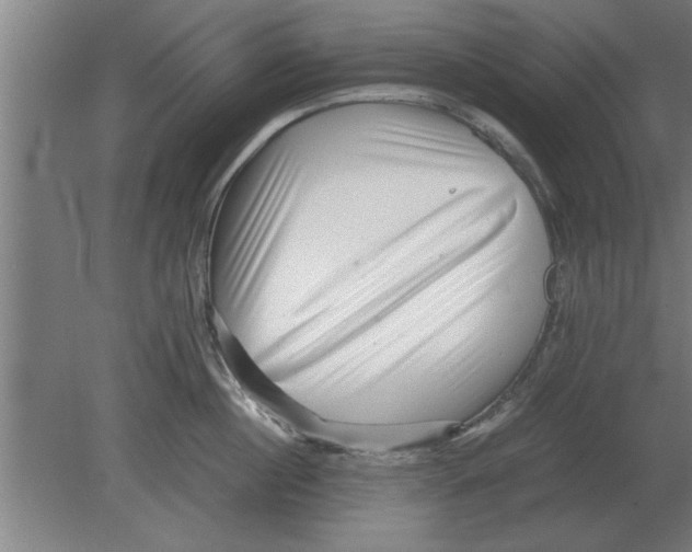 X0000080110860200612301942