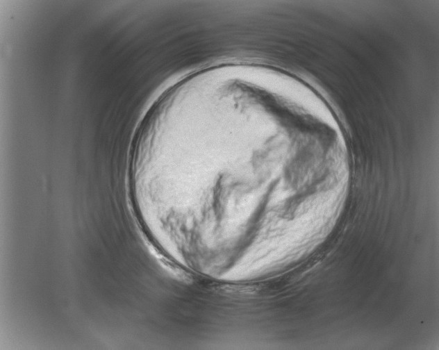 X0000080110861200612301942