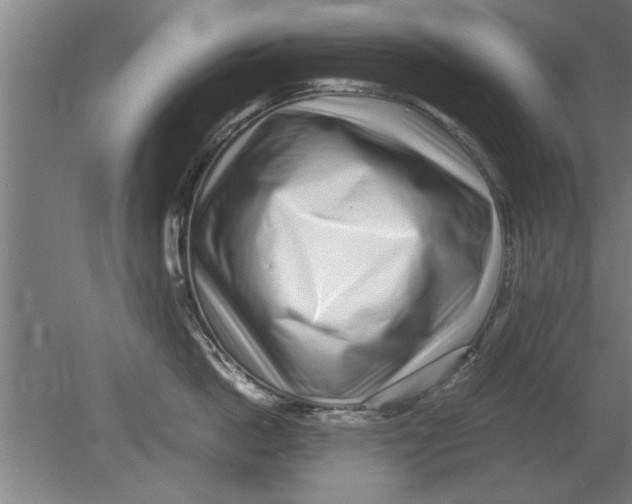 X0000080110862200612301942