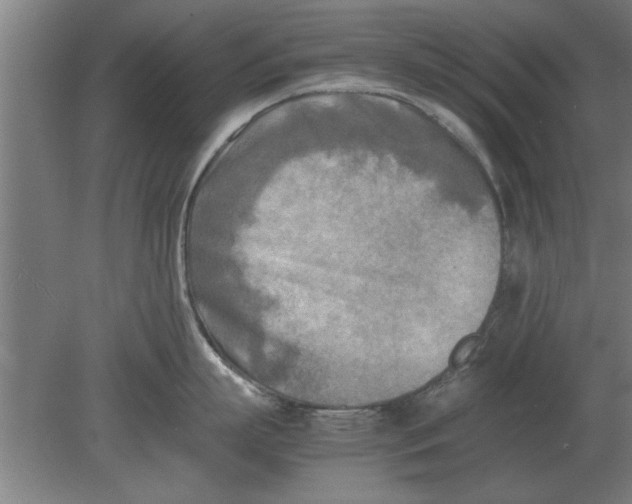 X0000080110863200612301942