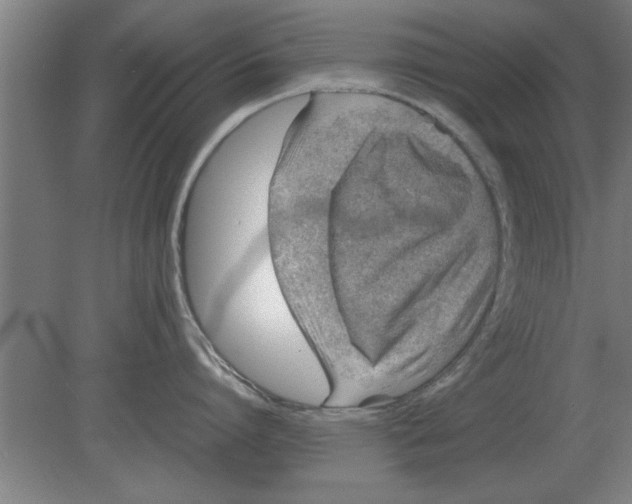 X0000080110864200612301942