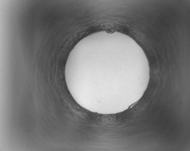 X0000080110865200612301941