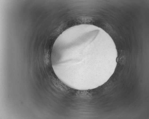 X0000080110866200612301941