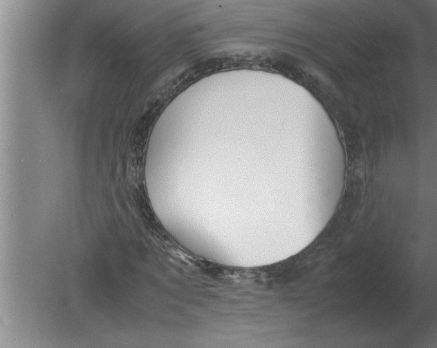 X0000080110869200612301941