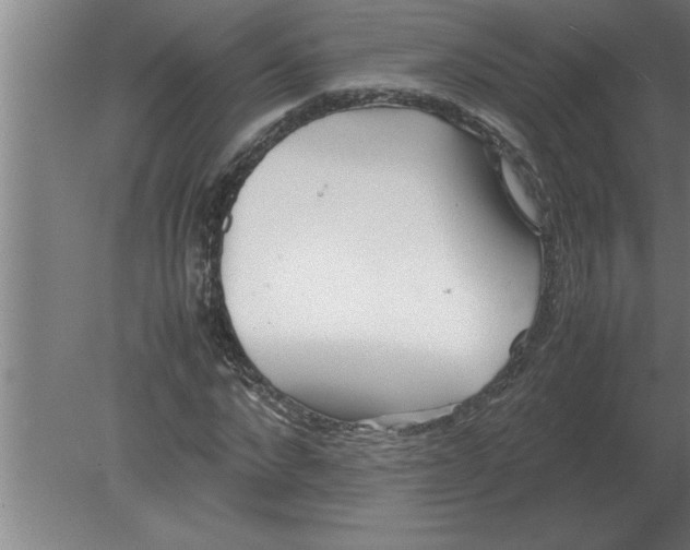 X0000080110872200612301941