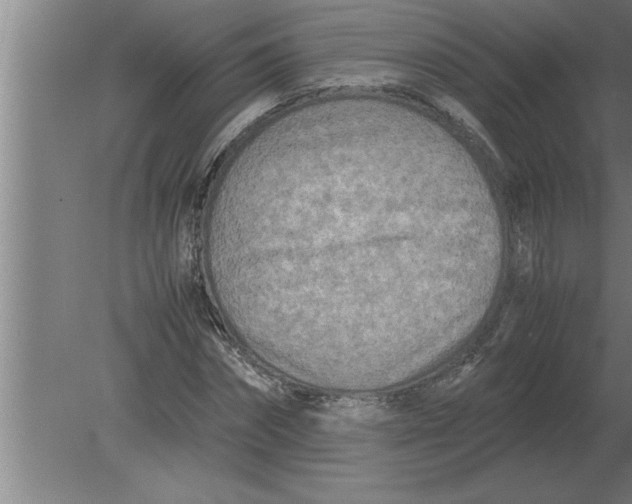 X0000080110874200612301941