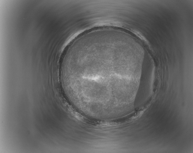 X0000080110877200612301941