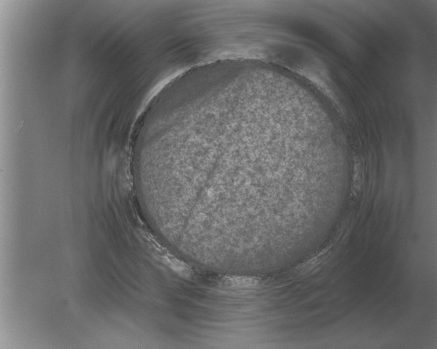 X0000080110878200612301941