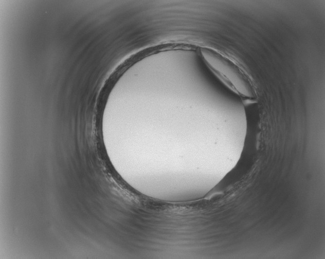 X0000080110880200612301941