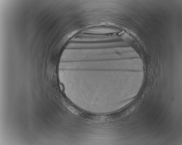 X0000080110881200612301941