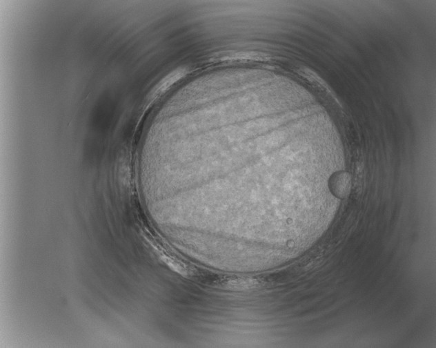 X0000080110882200612301941