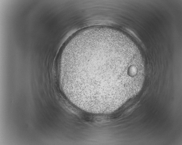 X0000080110883200612301941