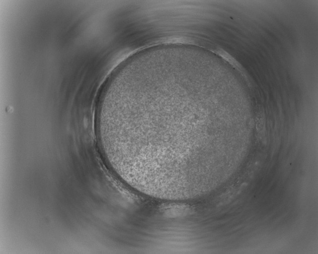 X0000080110886200612301941