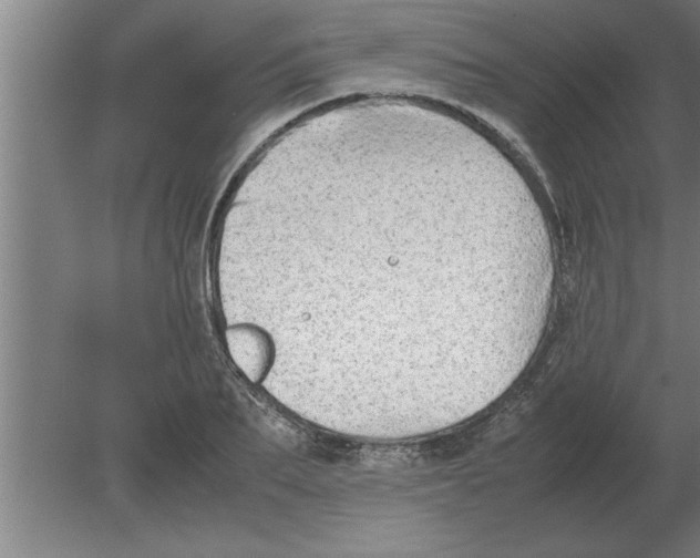 X0000080110887200612301941