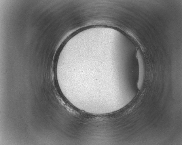 X0000080110888200612301941