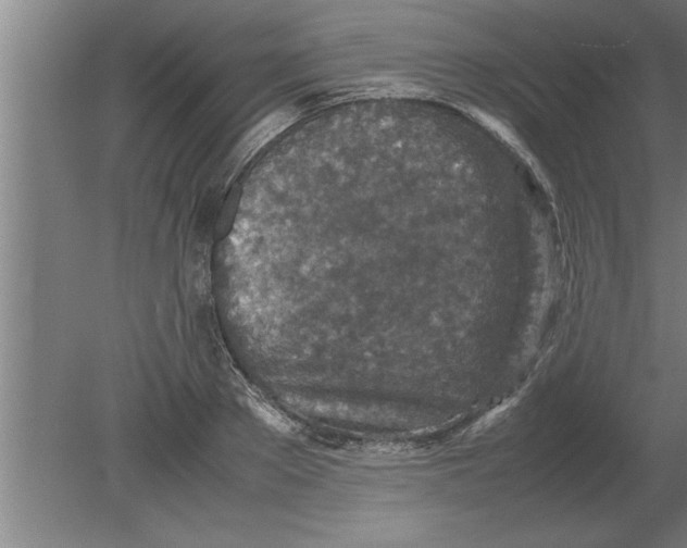 X0000080110889200612301941