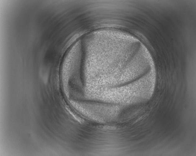 X0000080110890200612301941