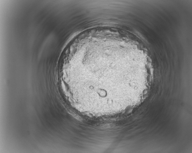 X0000080110891200612301941