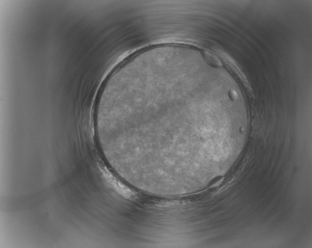 X0000080110892200612301941