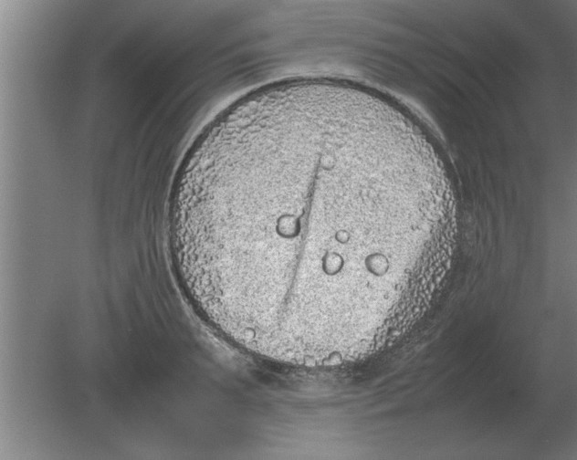 X0000080110895200612301941