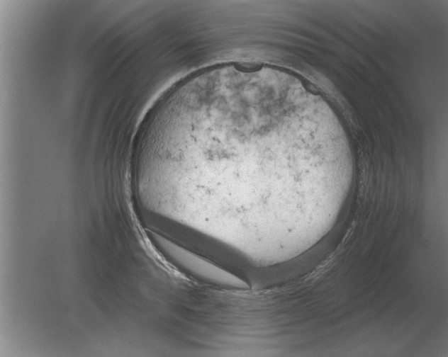 X0000080110896200612301941