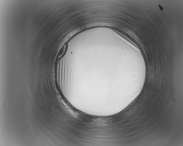 X0000080110898200612301940