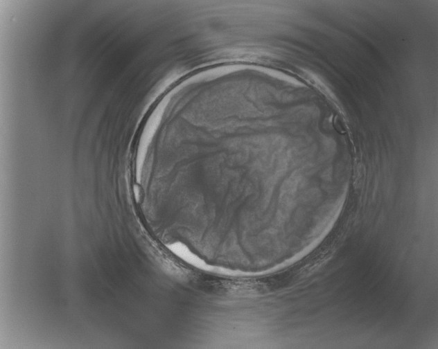 X0000080110899200612301940