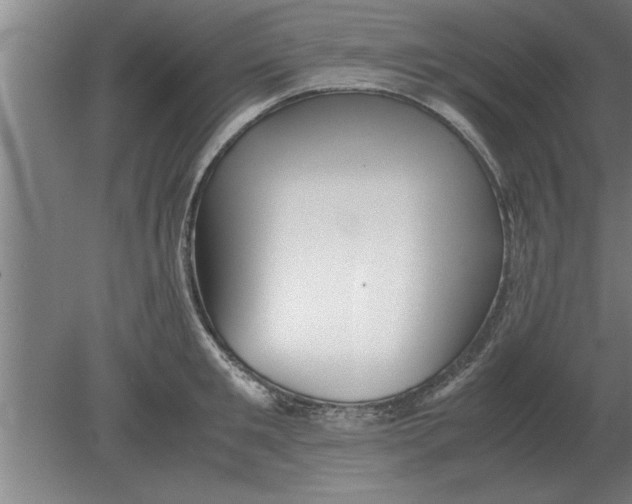 X0000080110901200612301940