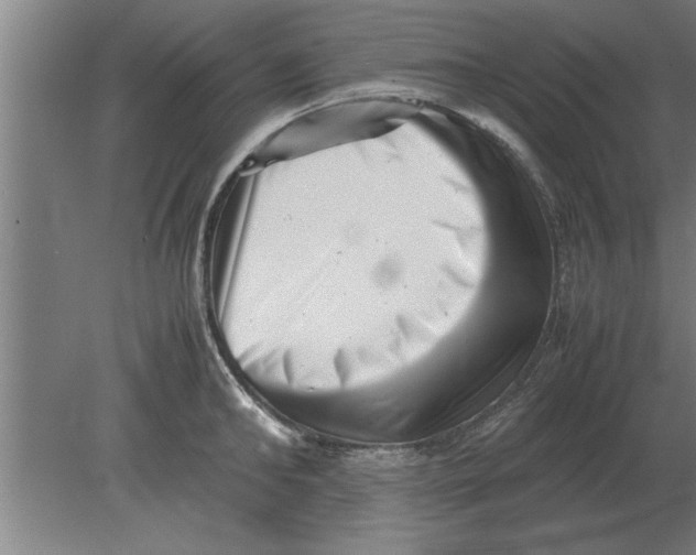 X0000080110902200612301940