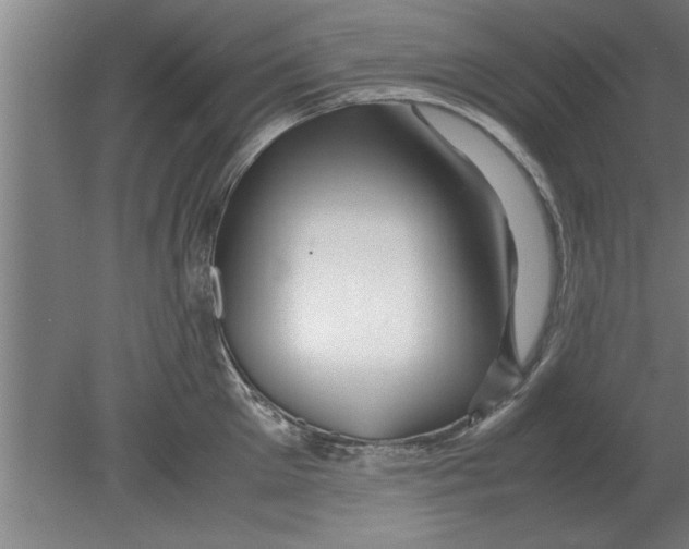 X0000080110905200612301940