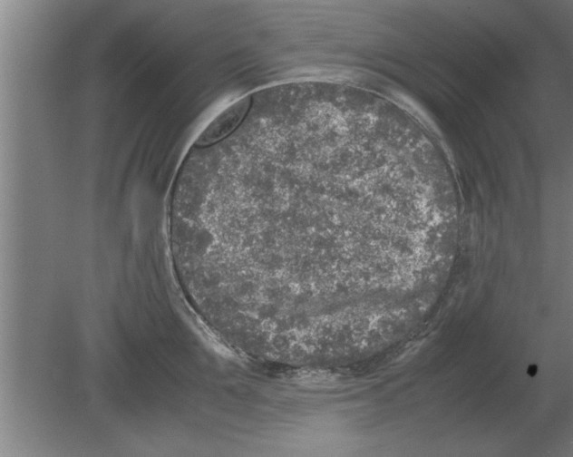 X0000080110907200612301940