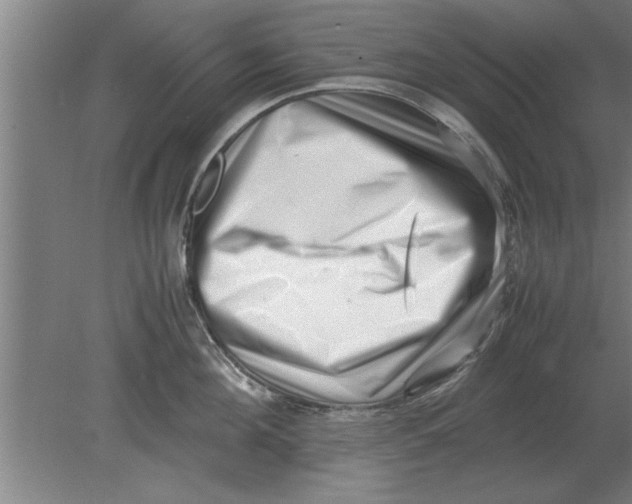 X0000080110908200612301940