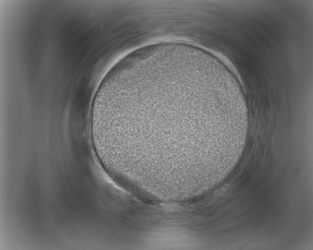 X0000080110911200612301940