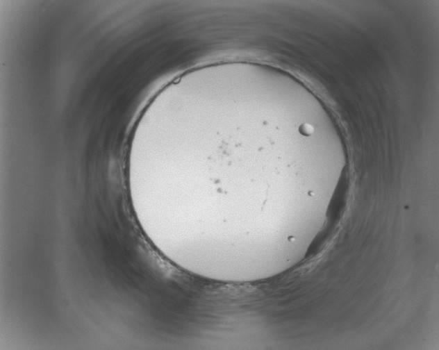 X0000080110912200612301940