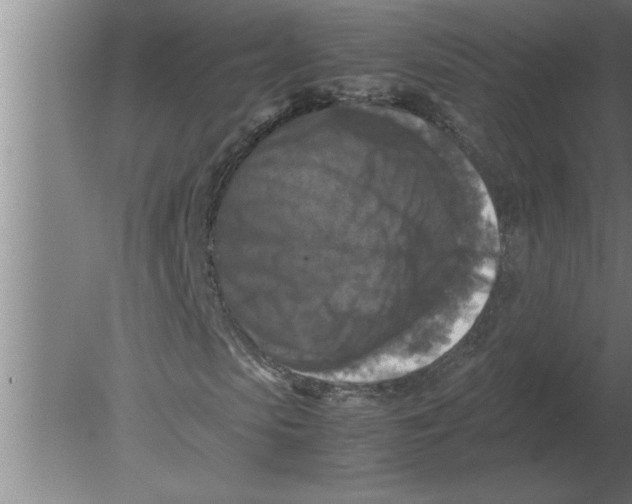 X0000080110913200612301939