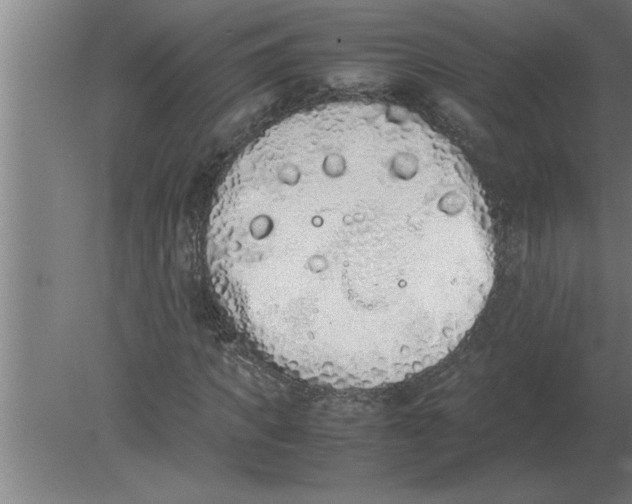 X0000080110917200612301940