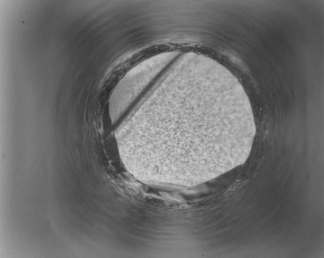 X0000080110920200612301940