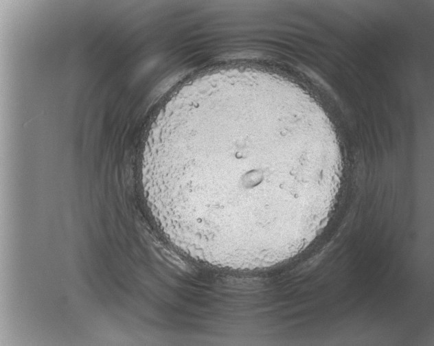 X0000080110921200612301940