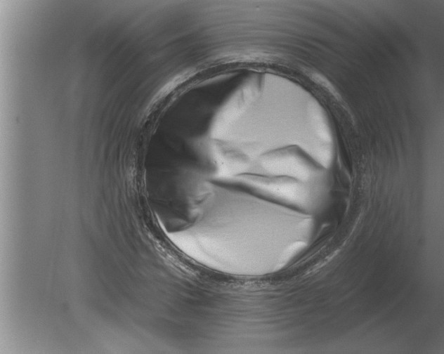 X0000080110922200612301940