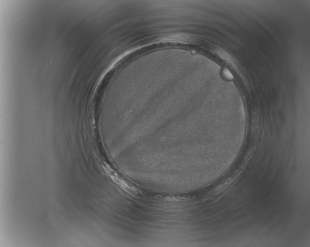 X0000080110923200612301940