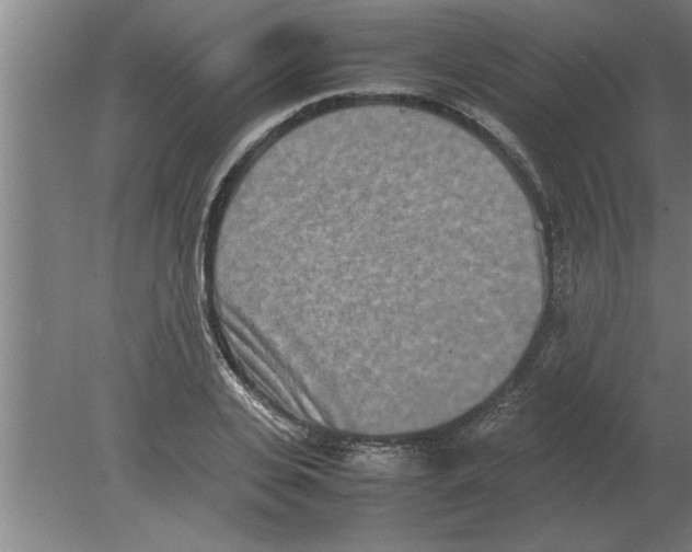 X0000080110935200612301940