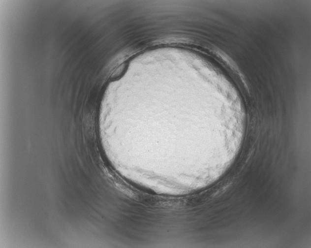 X0000080110937200612301940